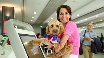 No snakes on a plane but small cats and dogs welcome