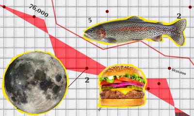 The Crunch: Texas voters as schools of fish, and a stunning map of solar eclipse viewing data