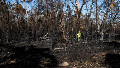 Bushfire that threatened homes deliberately lit