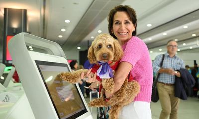 Who let the dogs on? Everything you need to know about Virgin Australia’s planned pets in cabins scheme