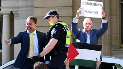 MPs clash with pro-Palestinian protesters over Gaza war
