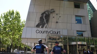 Scammer jailed for stealing close to $400k from cousin