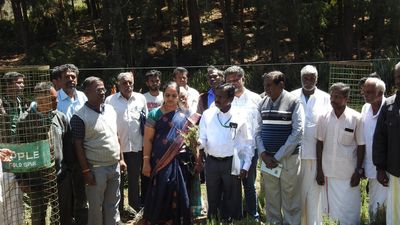 Plan to promote aromatic crops in the State through ‘Aroma Mission’