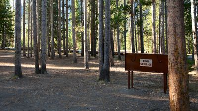 National Park visitors are trashing bear boxes – and Rangers say it has to stop