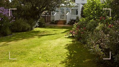 Experts reveal when to overseed a lawn for lush, healthier grass this spring