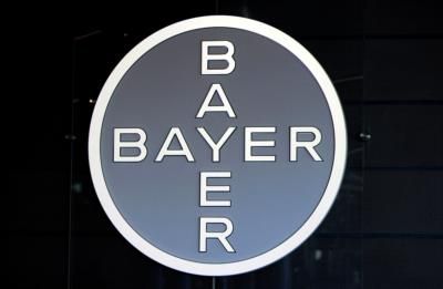 Major Bayer Shareholder Harris Supports CEO's Internal Restructuring Focus