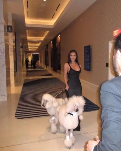 Kim Kardashian Showcases Glamorous Canine Companions With Style