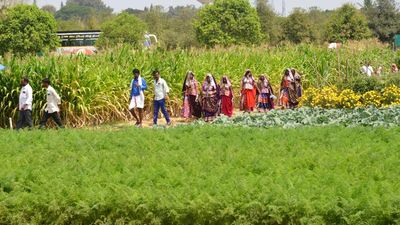 National Horticulture Fair attracts over 70,000 visitors in three days