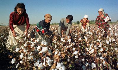 Empowering female cotton farmers could boost climate resilience