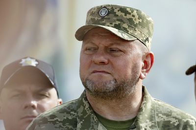 Ukraine’s former commander-in-chief appointed ambassador to UK