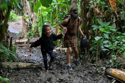 Panama Halts Migrant Aid In Darien Jungle: MSF