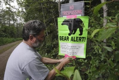 Florida Bill Allows Residents To Kill Threatening Black Bears