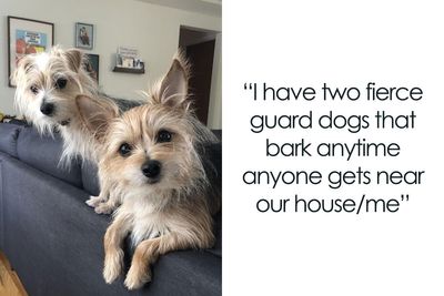 29 Women Who Live Alone Share What They Do To Be Safe