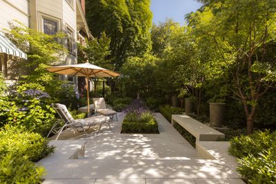 The Best Plants for a Tranquil Patio — Landscape Designers on What to Choose for Calm Outdoor Spaces