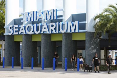 Miami-Dade County moves to evict Miami Seaquarium