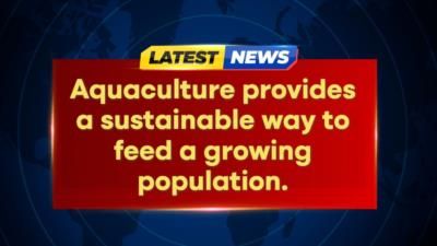 Aquaculture: Sustainable Solution To Overfishing Crisis