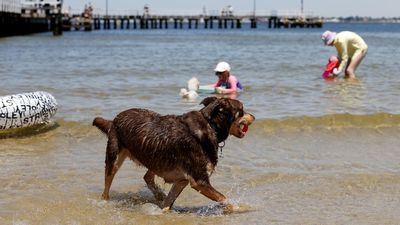 Festivals and events cancelled as southeast swelters