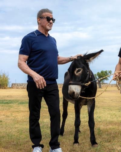 Sylvester Stallone's Tender Moment With A Donkey