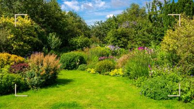 How to level a lawn – an expert guide to smoothing out lumps, dips and slopes