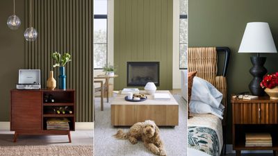 What are the best olive green paint colors? Designers and color experts share their top 7 shades