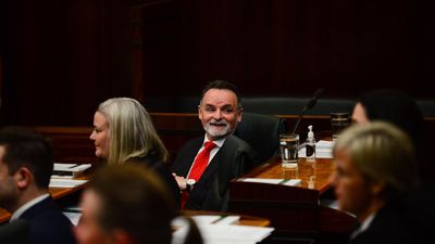 Tasmanian Labor 'naive' about stadium: former leader