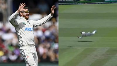 Watch: 'SUPERMAN' Glenn Phillips' spectacular catch stuns cricket world