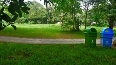 Bengaluru Water Woes: How is Garden City maintaining its parks and gardens in a water crisis?