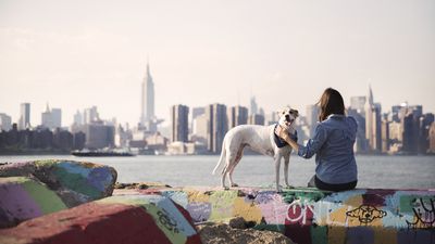 32 top US cities to have a dog