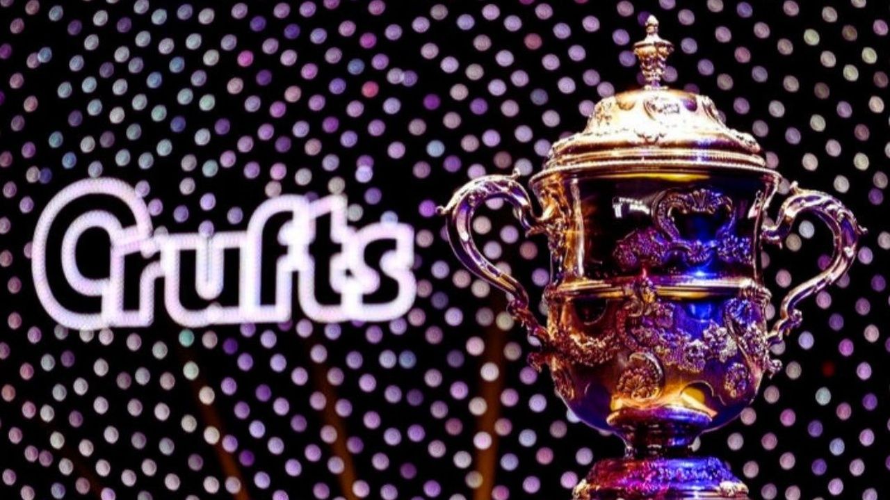 How to watch Crufts 2024 live stream Best in Show for…