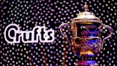 How to watch Crufts 2024: live stream Best in Show for free online