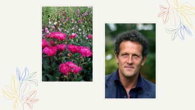 The important job you should be doing in your garden this month says gardening guru Monty Don