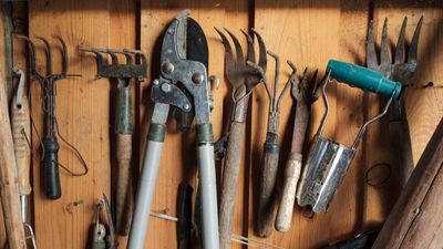 These are the 10 tools professionals say every gardener needs
