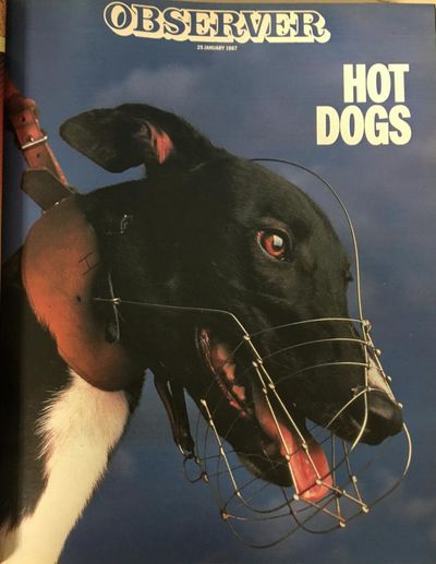 Greyhound racing moves upmarket, 1987