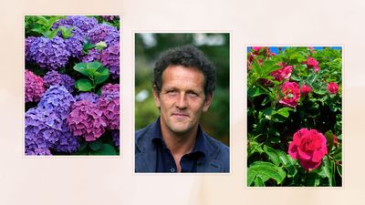 Monty Don says this is the only thing you should be planting in March