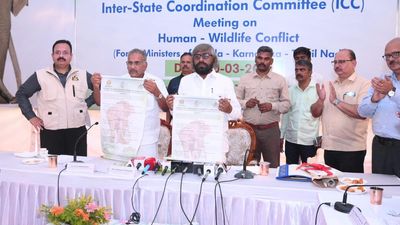 Human-wildlife conflict: Three southern States resolve to share intelligence, coordinate joint operations