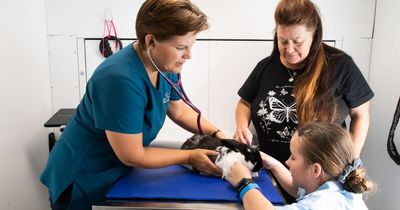 'Pets aren't just for the wealthy': surgeries in a vet van could save lives