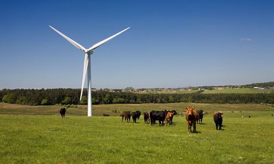 Morning Mail: why NSW is our renewables laggard; Australia’s 10 million extra cows; ‘school shopping’ reveals biases