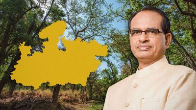 फॉरेस्ट फंड का 'दुरुपयोग': मध्य प्रदेश ने कैंपा फंड से 167 करोड़ रुपये डायवर्ट किए