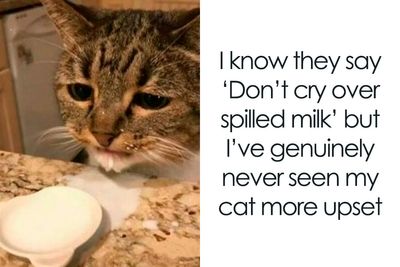 45 Random Memes To Entertain, Concern, Or Both