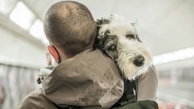 LCE Photographer of the Year 2024 winner will be revealed live this Sunday