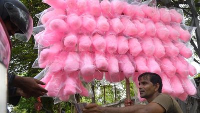 Karnataka bans use of harmful colouring agents in Cotton Candy and Gobi Manchurian