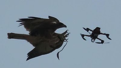 In Telangana, an eagle squad to pull down rogue drones