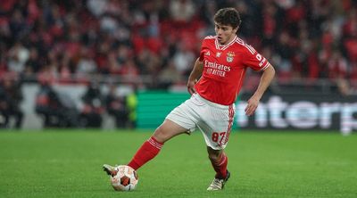 Manchester United ready to make £100m move for Benfica star in transfer ratified by Sir Jim Ratcliffe: report
