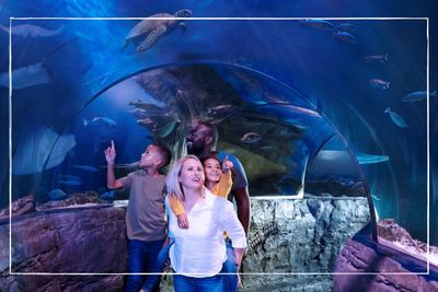 Save up to £60 per person on days out with the kids to Alton Towers, Cadbury World and more, in the Merlin Annual Pass sale