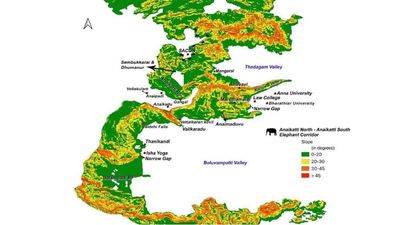 Land identified for TN Tech City in Coimbatore abuts proposed elephant corridor