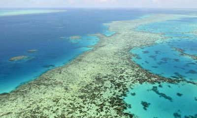 Almost half of cane growers sceptical of science behind laws protecting Great Barrier Reef
