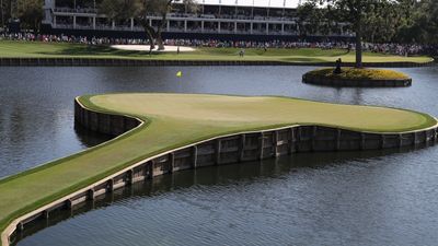 How Many Balls Go Into The Water At The 17th At TPC Sawgrass?