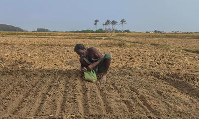 No crops, no brides: how rising seas are killing India’s coastal villages