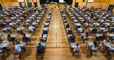 Results to be released 'earlier than ever' in new-look NAPLAN