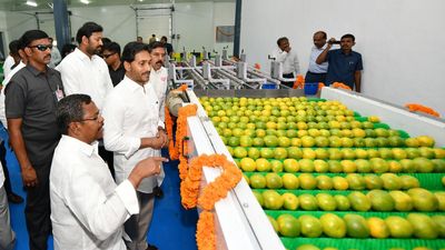 Andhra CM unveils works worth ₹861 crore in Pulivendula